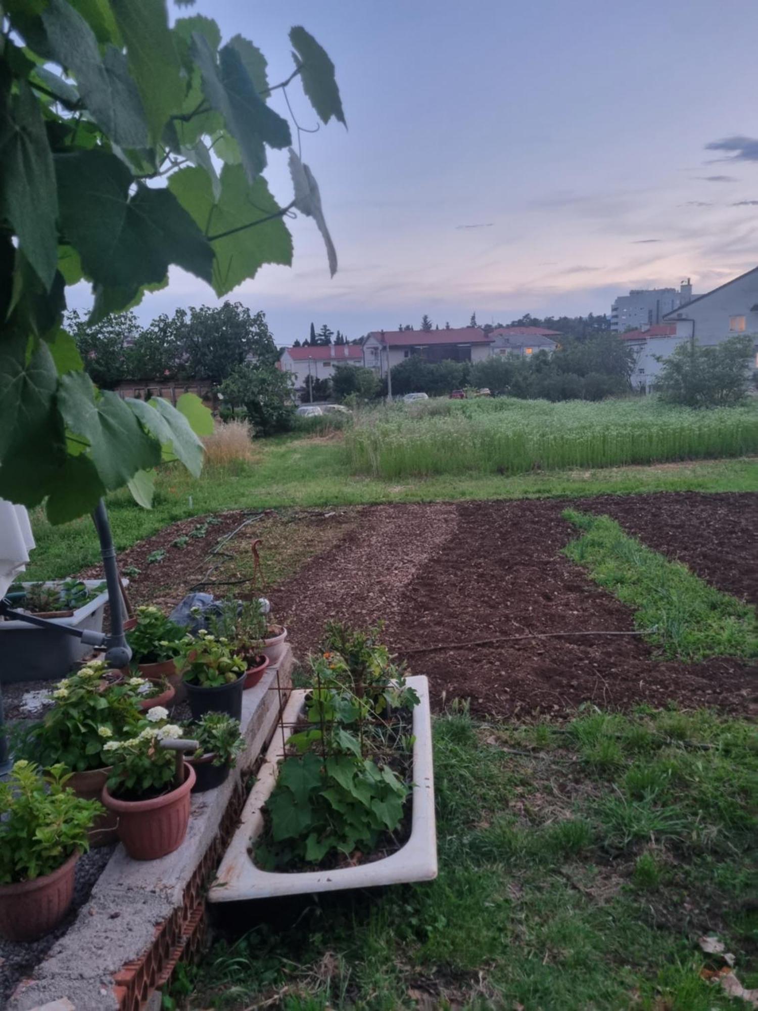 Apartman Dasa Rijeka Exteriör bild