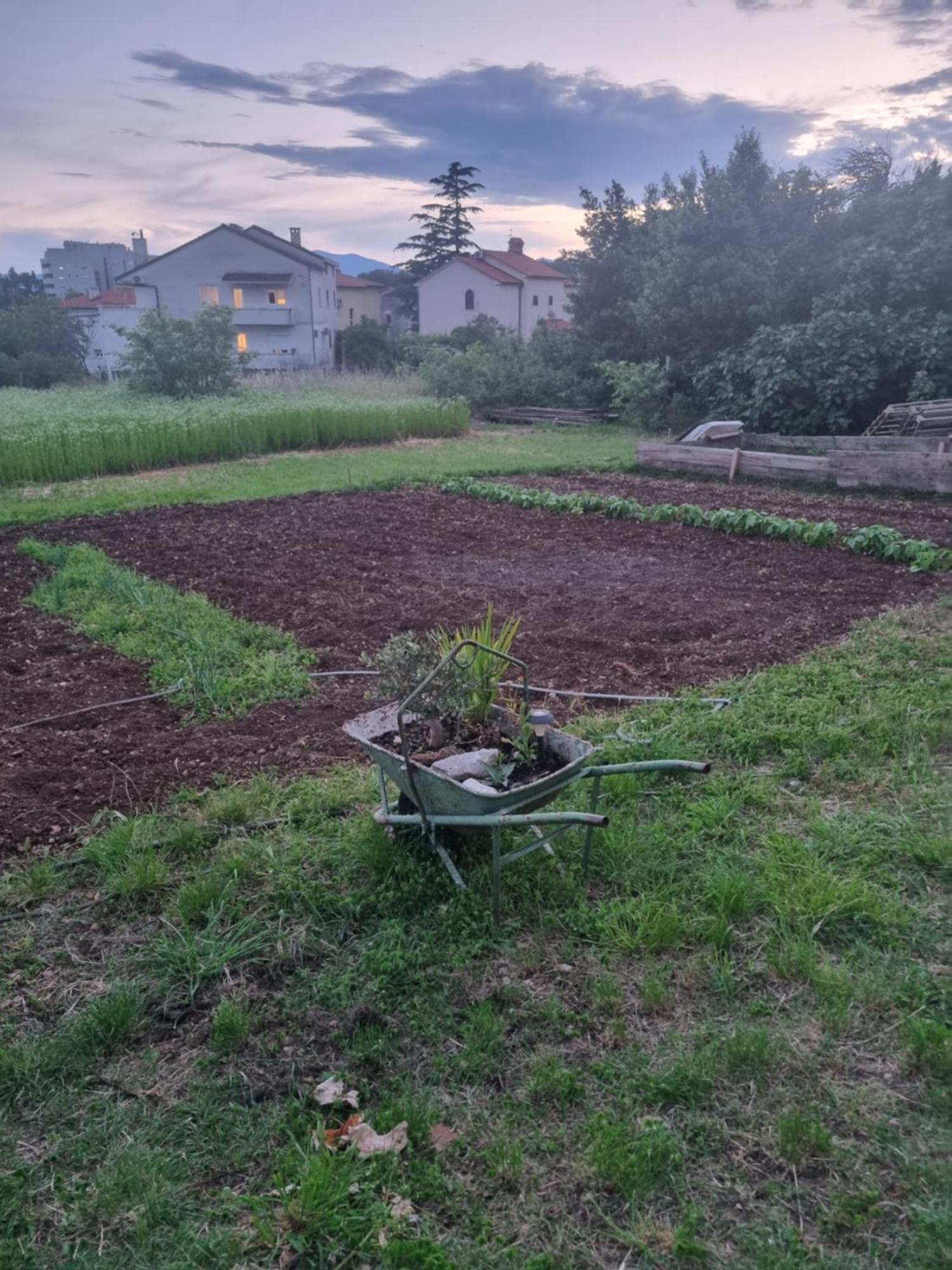 Apartman Dasa Rijeka Exteriör bild